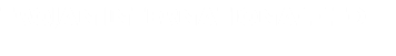 TROJAN INTERNATIONAL LTD